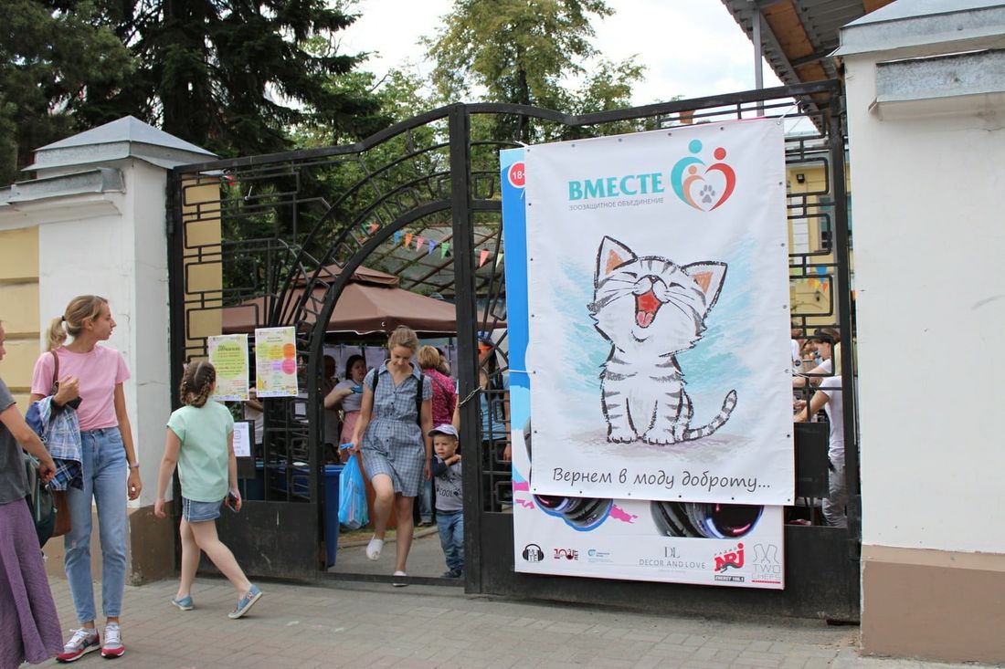 Благотворительность, Конкурсы и акции, Томские новости, распродажа животные благотворительность животные помощь Томичей приглашают на гаражную распродажу в пользу животных