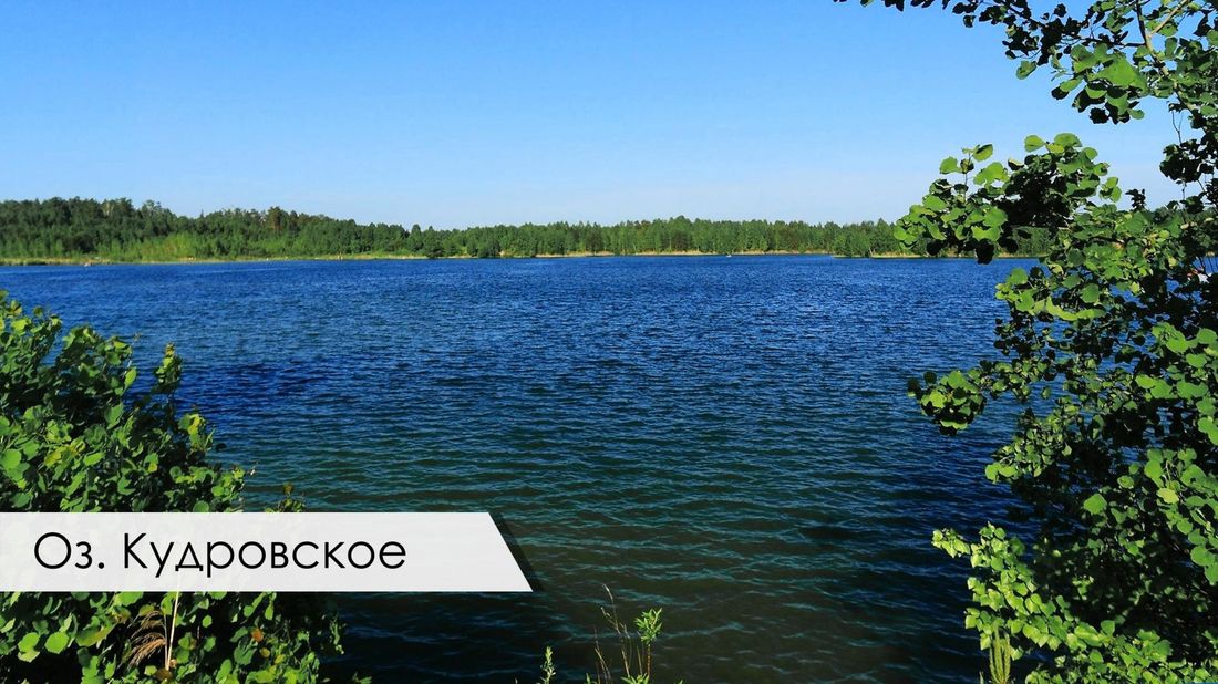 Погода и природа, Томские новости, Томск озеро акция экосистема зарыбление томичи город Томичи могут выбрать озеро, куда запустят карпов