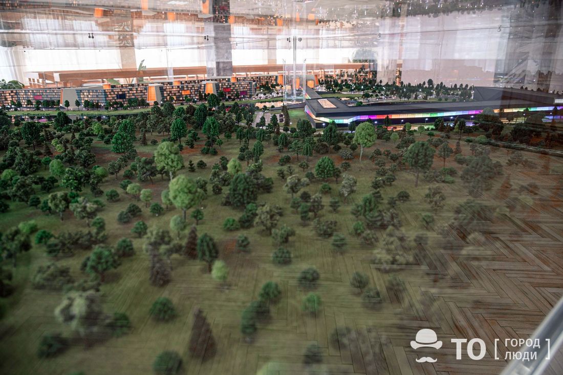 Кампус, Томские новости, кампус строительство ТГУ вузы межуниверситетсткий кампус строительство Томские власти определились с местом под строительство университетского кампуса