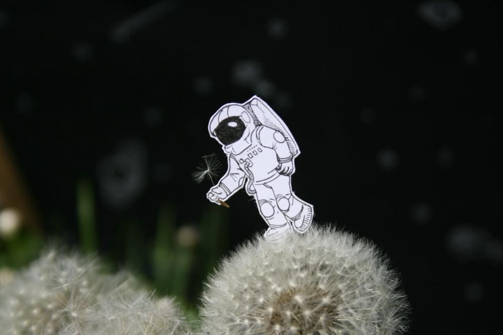 Образование и наука, ТГУ, Томские новости, ТГУ лекция космос Роскосмос космонавт полет исследование проект На открытых лекциях томичам расскажут о работе космонавтов и секретах подготовки к полетам