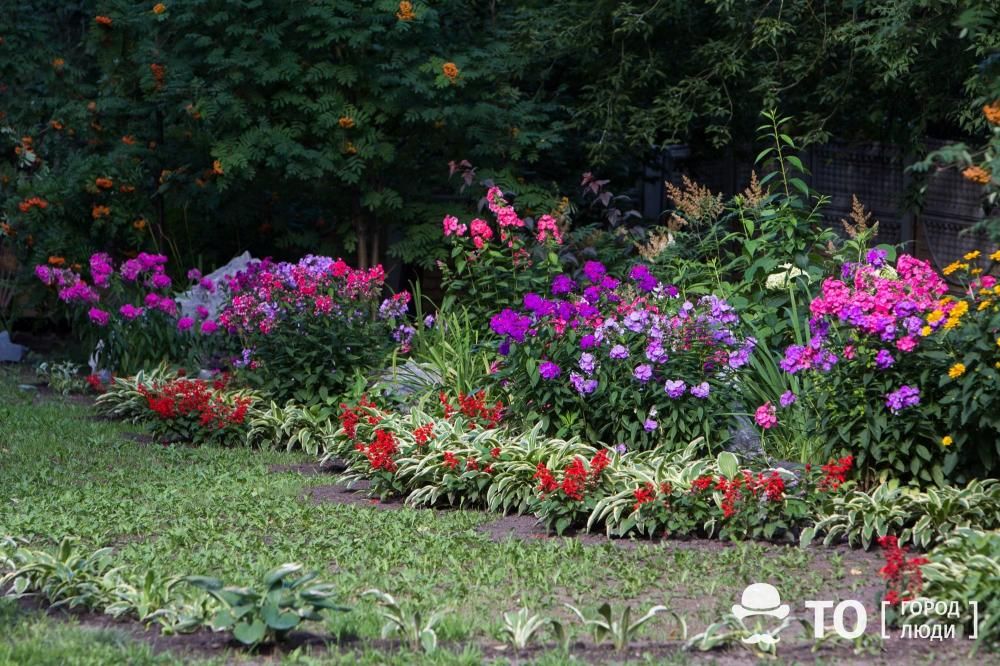 Городское благоустройство, Погода и природа, Томские новости, Томск Томский дворик «Томский дворик»: томичи могут выбрать лучший двор и цветник