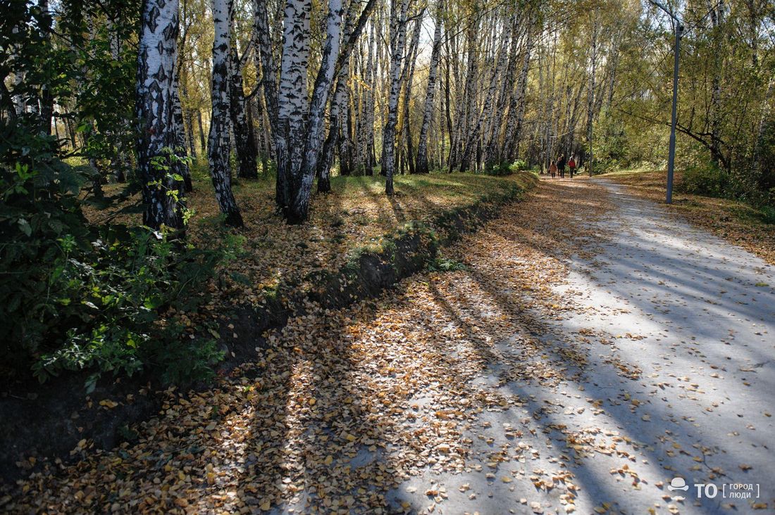 Погода и природа, Томские новости, Экология, экотропы экология парк сад прогулки Новые экотропы появятся в Томской области