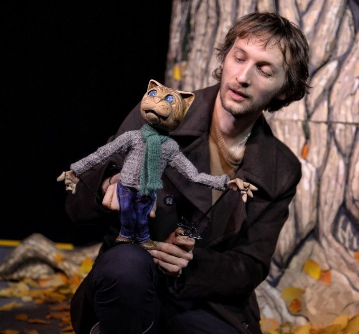 Афиша Томска, Культура в Томске, Томские новости, театр мабу томск новости интересное куда сходить в томске кот афиша томска Томичей приглашают послушать «Добрые сказки старого кота»