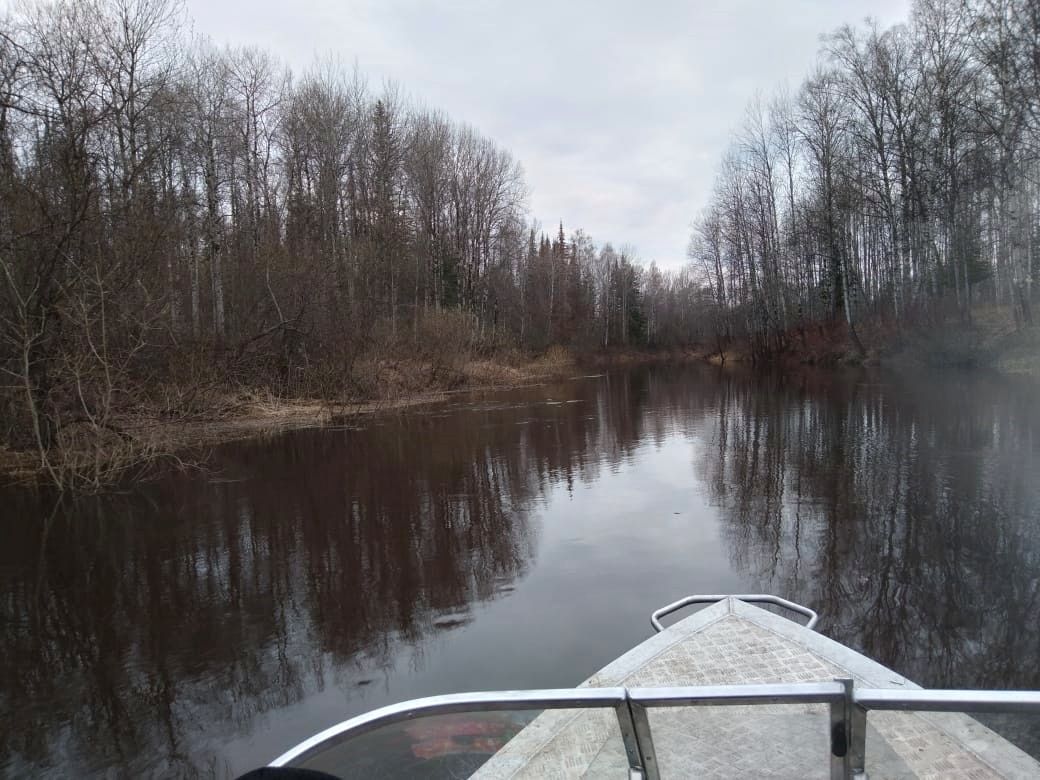 Природа, Томские новости, васюганский заповедник новости интересное томск охота утки зайцы В Томской области охотникам рассказали о правилах поведения в «Васюганском»