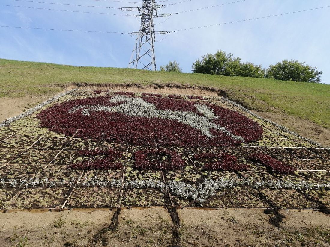 Городское благоустройство, Томские новости, цветочный герб новости томск интересное цветы клумба посадка Цветочный герб на въезде в Томск высадят к середине июня
