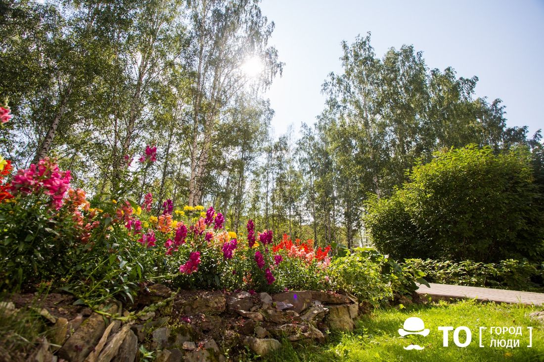 Бизнес, Зелень в городе, Томские новости, центр развития городской среды новости томск интересно Томским бизнесменам предлагают ухаживать за клумбами