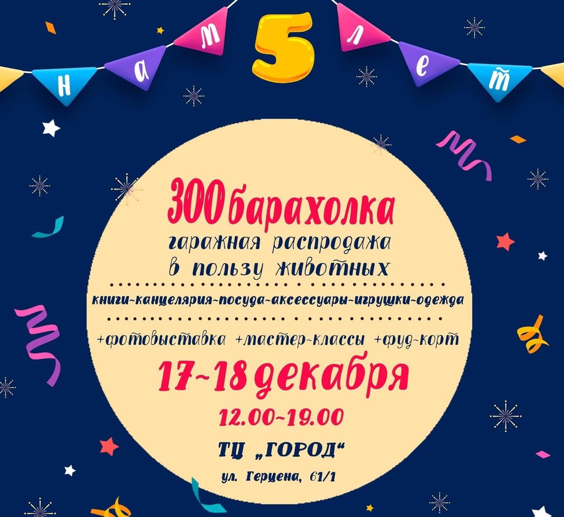 Афиша Томска, Благотворительность, Котики, Культура в Томске, Томские новости, зообарахолка бездомные животные барахолка помощь поддержка Томичи могут помочь бездомным животным, приняв участие в барахолке