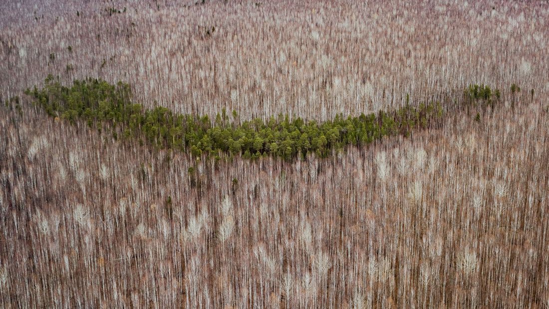 Газпромнефть-Восток, Томские новости, газпромнефть томск новости интересное экология сск Победителем экологического конкурса от «Газпромнефть-Восток» стала ССК