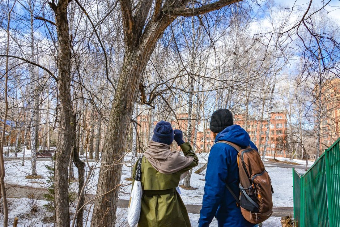 Городское благоустройство, Томские новости, Буфф-сад благоустройство город интересные новости В Томске стартовал сезон благоустройства в Буфф-саду