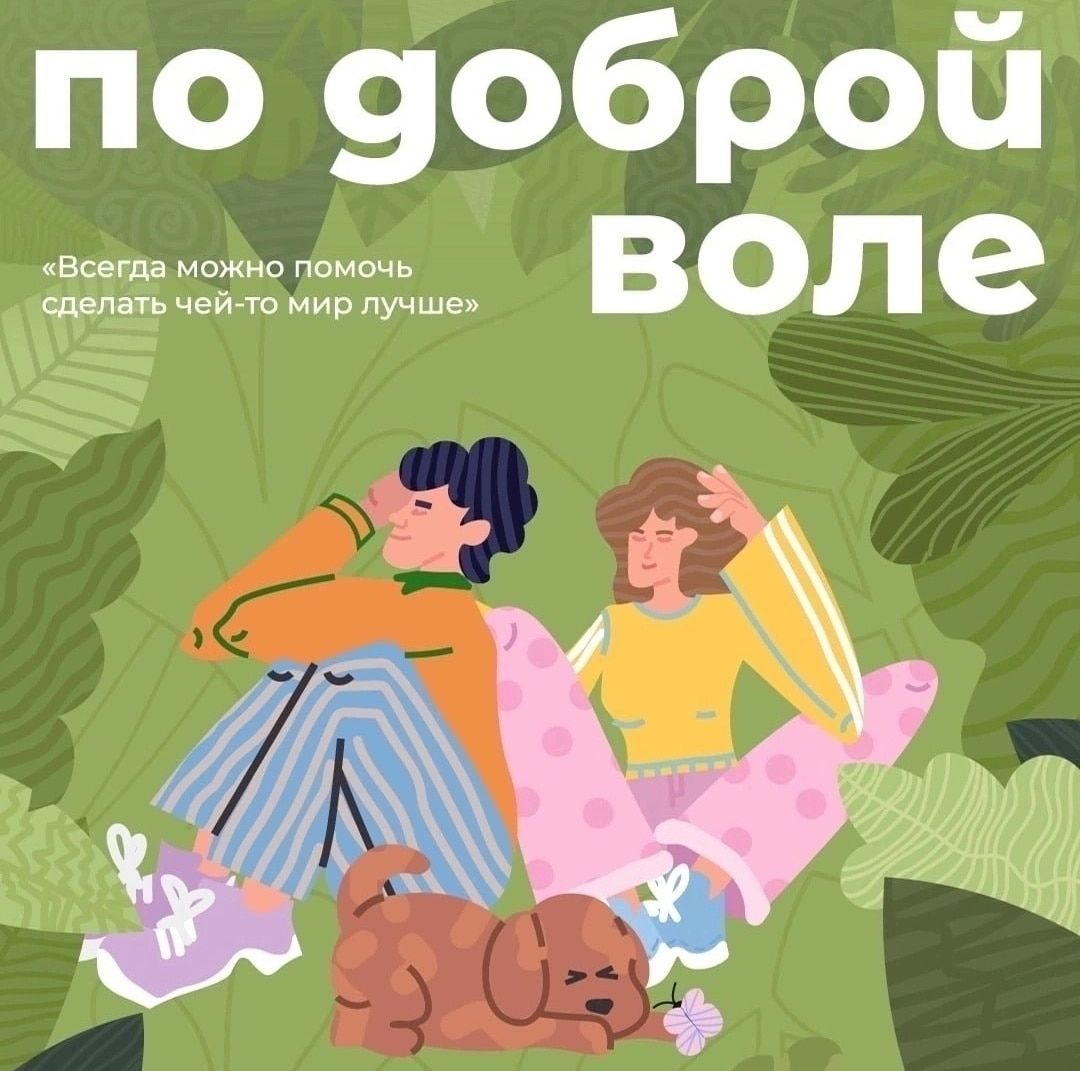 Афиша Томска, Благотворительность, Кино, Котики, Культура в Томске, Томские новости, волонтеры томск новости интересное котики фильм бесплатно афиша куда сходить кино сериал Томичей приглашают на премьерный показ сериала о томских волонтерах