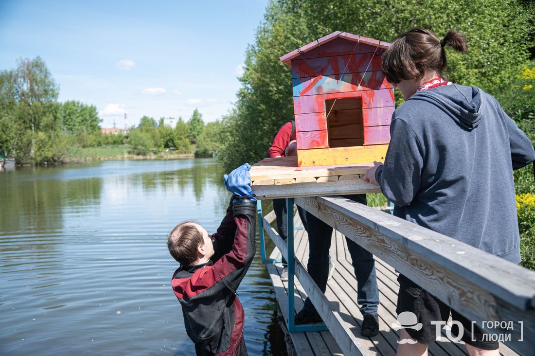 Городское благоустройство, Креативный город, Природа, Томские новости, университетское озеро домики для уток родники томск новости интересное На Университетском озере установили новые плавучие домики для уток