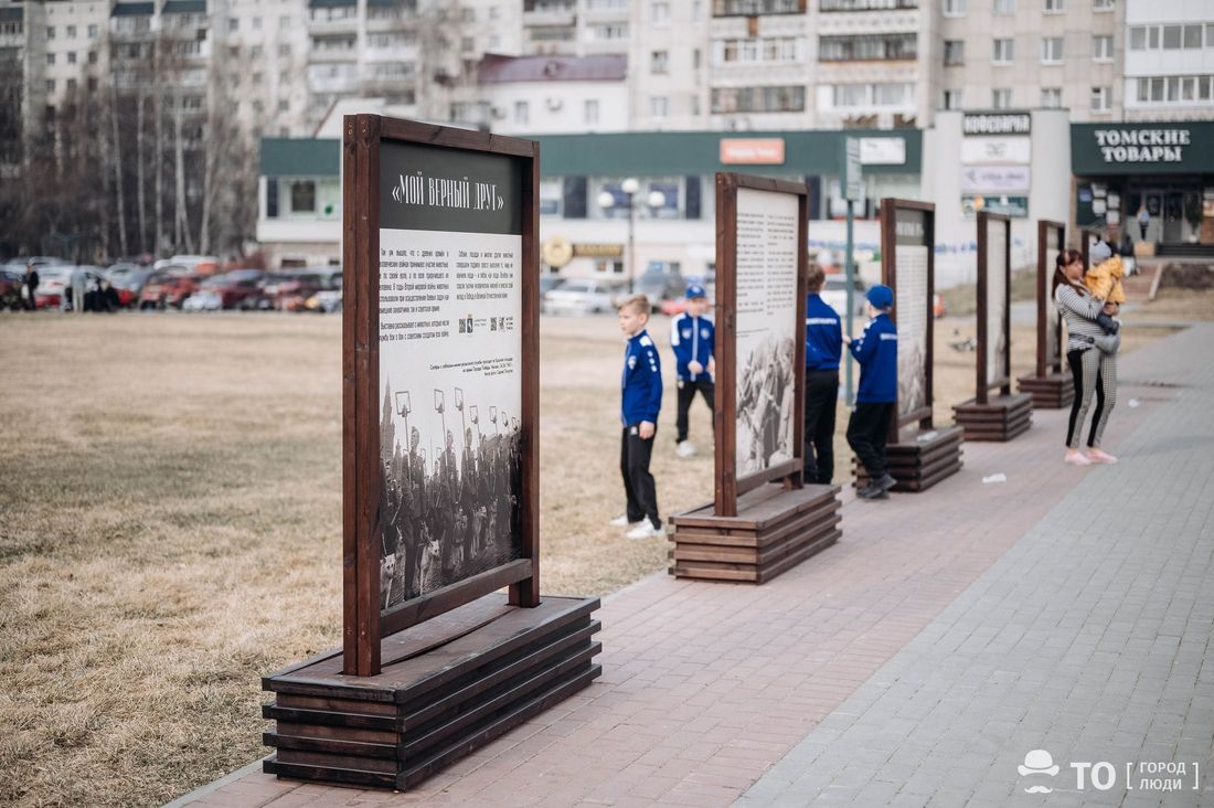 День Победы, Конкурсы и акции, Томские новости, волонтеры встреча животные лекция интересные новости Томичам расскажут о вкладе животных в победу в Великой Отечественной войне