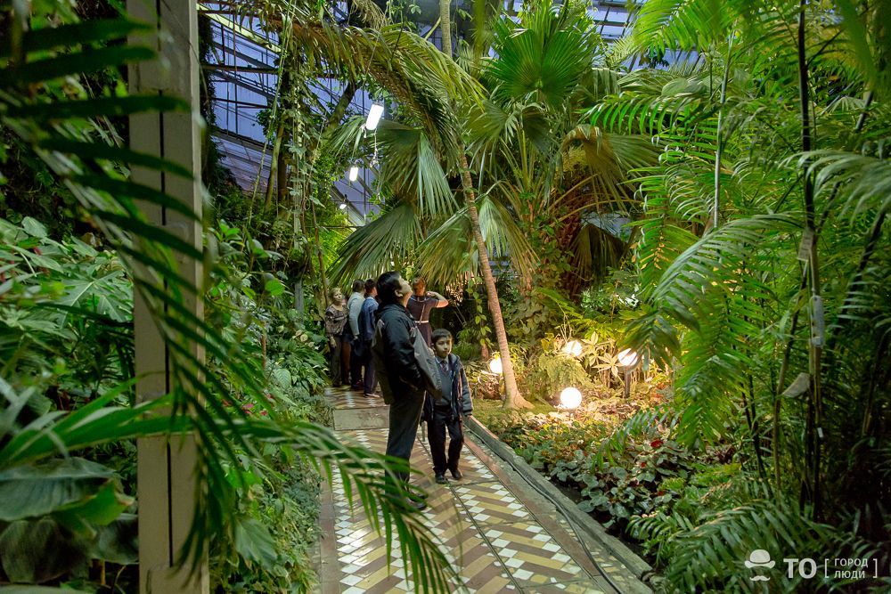 Афиша Томска, Культура в Томске, Природа, ТГУ, Томские новости, тгу ботсад новости интересное куда сходить афиша бесплатно Томичей приглашают на экскурсию и цветочные гадания в ботсад