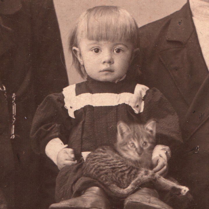 Профессорская квартира, Томские новости, томск профессорская квартира фотографии кошки история проекты панорама в лицах: начало томской фотог В Томске нашли фотографию с кошкой начала ХХ века