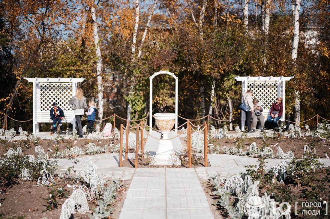 Красота, ТГУ, Томские новости, томск ботсад цветы места отдыха природ красиво тгу интересное университеская роща центр города розы В томском ботсаду появился розарий в версальском стиле с солнечными часами