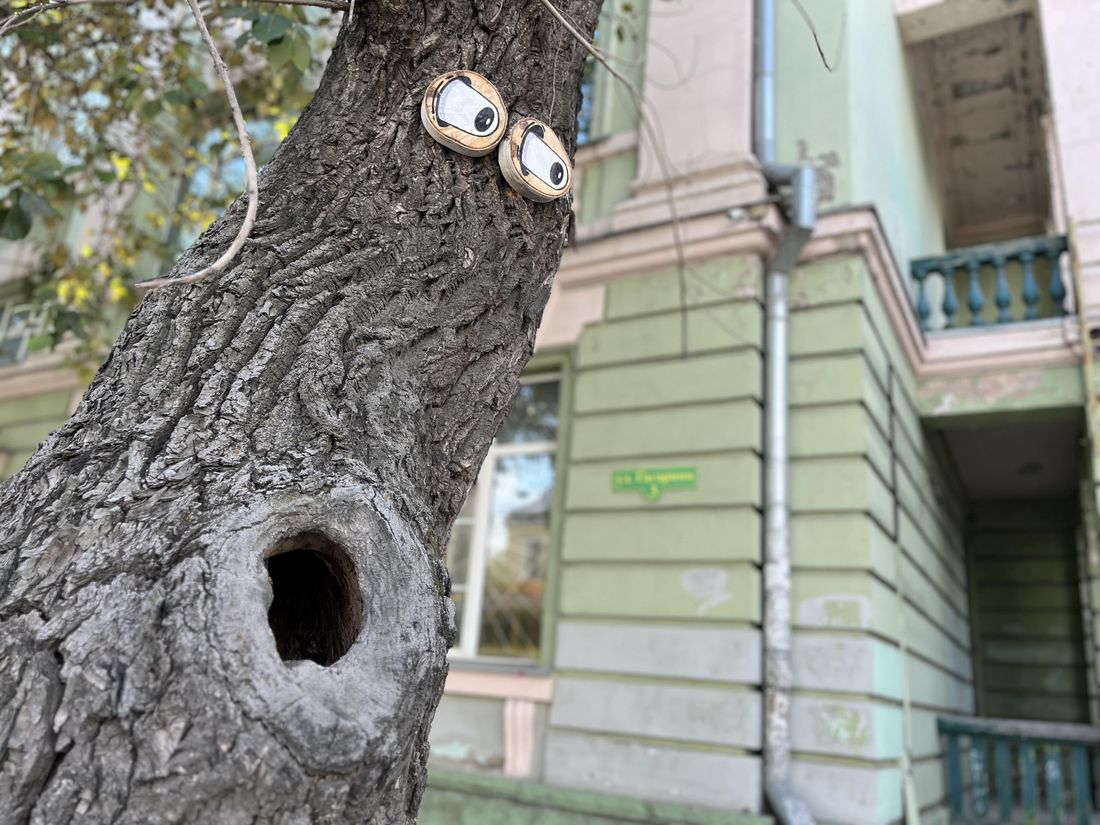 Архитектура и дизайн, Креативный город, Томские новости, томск новости интересное урбанистика конкурс деревья На улицах Томска появились монстры MonsTree