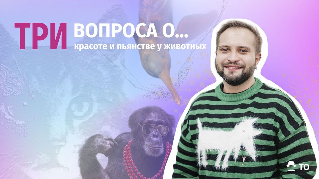 Как это работает, Образование и наука, Три вопроса о..., животные наука интересное что почитать кошки любовь илья гомыранов Три вопроса о… красоте и пьянстве у животных
