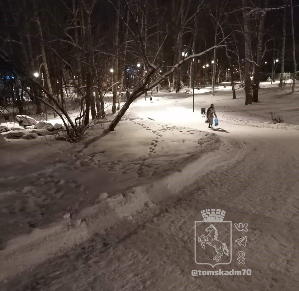 Городское благоустройство, Новый год ❄, Томские новости, буфф-сад интересные новости Томска город освещение благоустроительные работы уличный свет иллюминаци В томском Буфф-саду заработало освещение