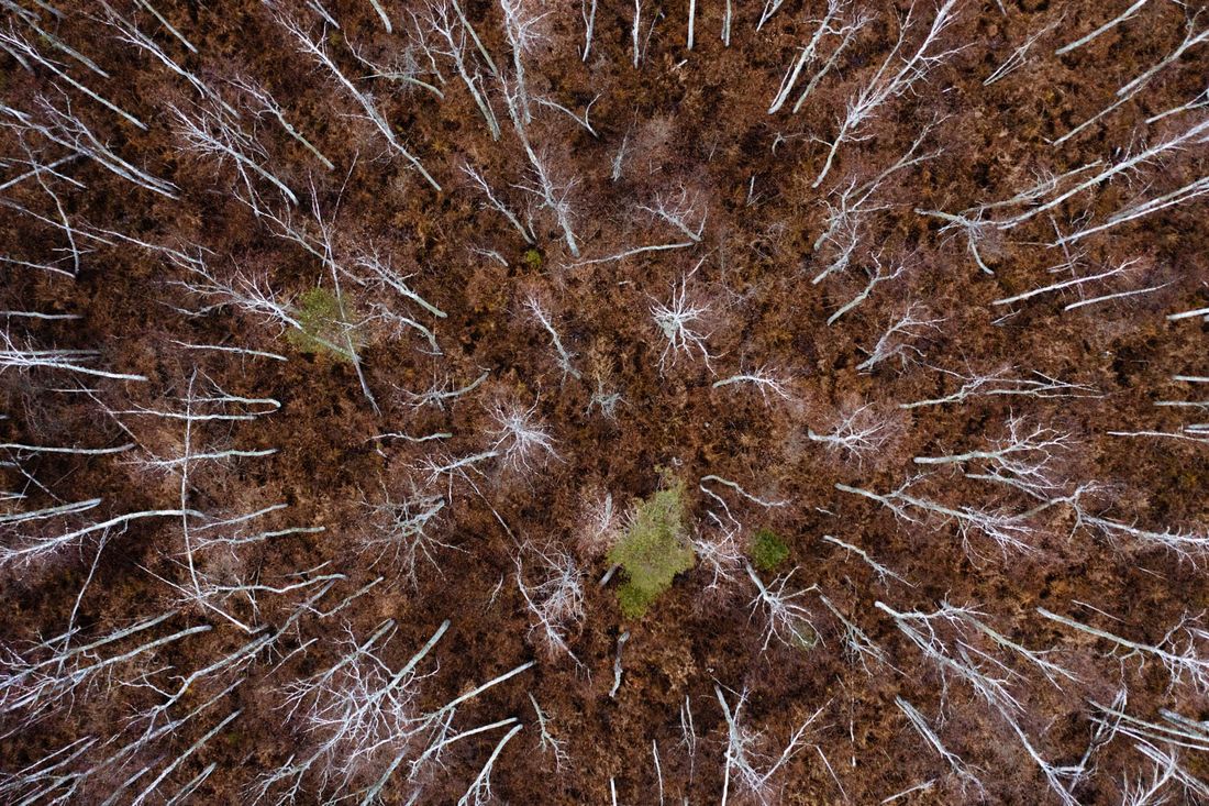 Газпромнефть-Восток, Предприятия Томска и области, Томские новости, экология предприятия компании Томской области Газпром ГПН Самым экологичным партнером «Газпромнефть-Востока» стал «ТрансСервис»