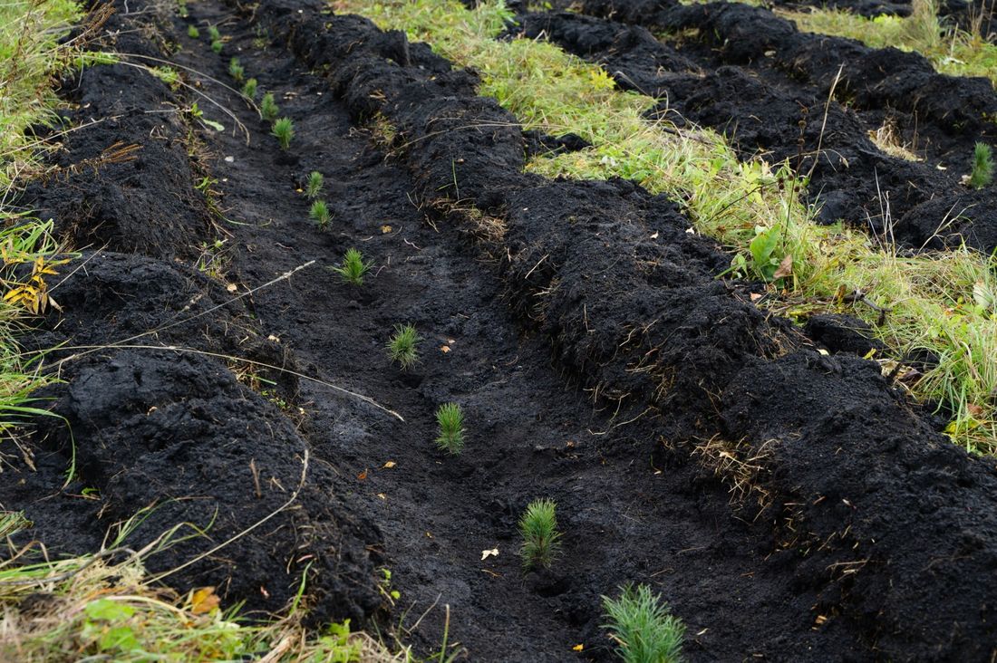 Томские новости, Сбер трансформация интересные новости сотрудничество охрана природы Администрация Томской области и Сбер подписали соглашение о сотрудничестве в EGS-трансформации