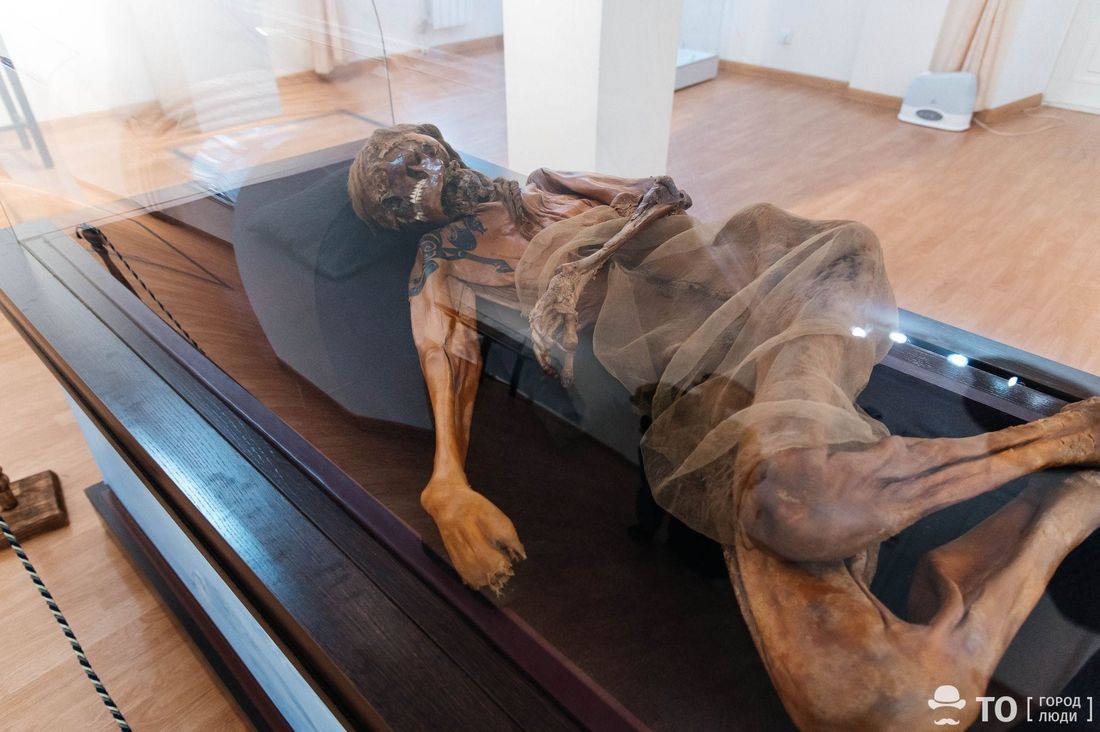 Культура в Томске, Томские новости, музей выставка экспозиция интересные новости Томска куда сходить культура мумия В Томске можно увидеть мумию пазырыкского воина из «замерзших погребений»