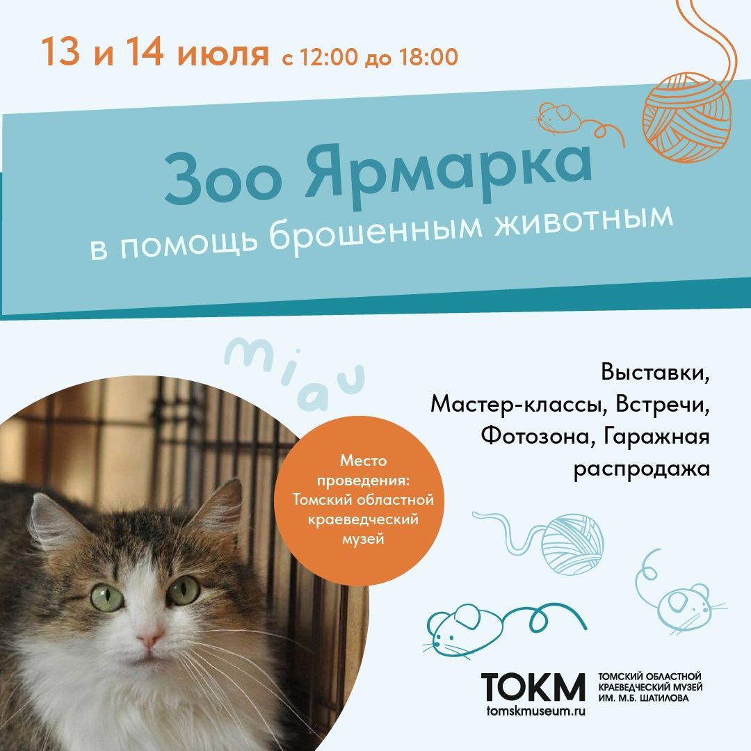 Благотворительность, Город, События, Томские новости, куда сходить в Томске ярмарка бесплатная афиша где взять кота котенка животные интересные новости То Томичей приглашают на благотворительную зоо-ярмарку с раздачей котиков