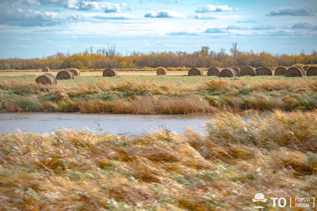 Город, Образование и наука, ТГУ, Томские новости, вода озера болота интересные новости Томска карбоновый полигон Внутриболотные озера выделяют сильно меньше СО2, чем ожидалось — томские ученые