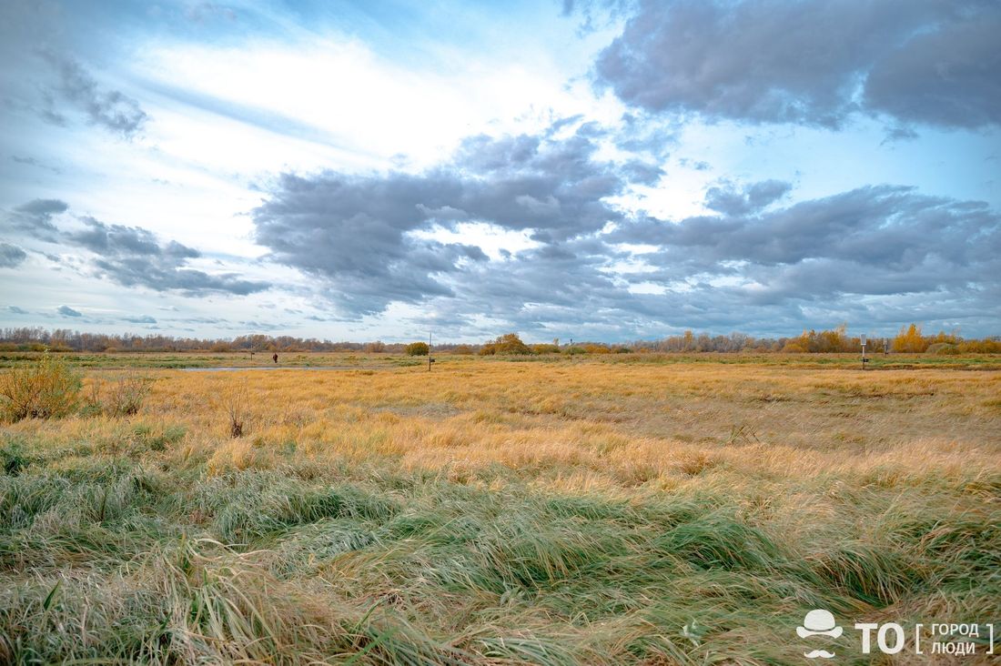 Город, Образование и наука, Томские новости, ТПУ, интересные новости Томска томская наука исследователи влияние болот на экологию Васюганские болота превращают глину в природный сорбент — томские ученые