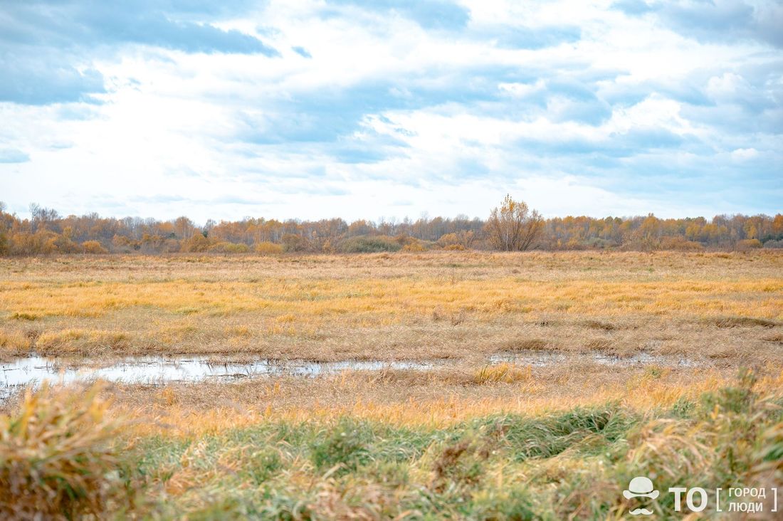 Город, Томские новости, Туризм в Томске, томская область афиша новости интересное выходные в томске прогулка на природе куда съездить за горо Экскурсии по Васюганским болотам: как планируют развивать туризм в крупнейшей экосистеме мира