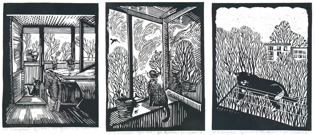 Афиша Томска, Благотворительность, Город, Культура в Томске, События, Томские новости, интересные новости Томска благотворительность помощь собакам кошкам Работы молодых томских художников выставят на благотворительный аукцион в пользу животных