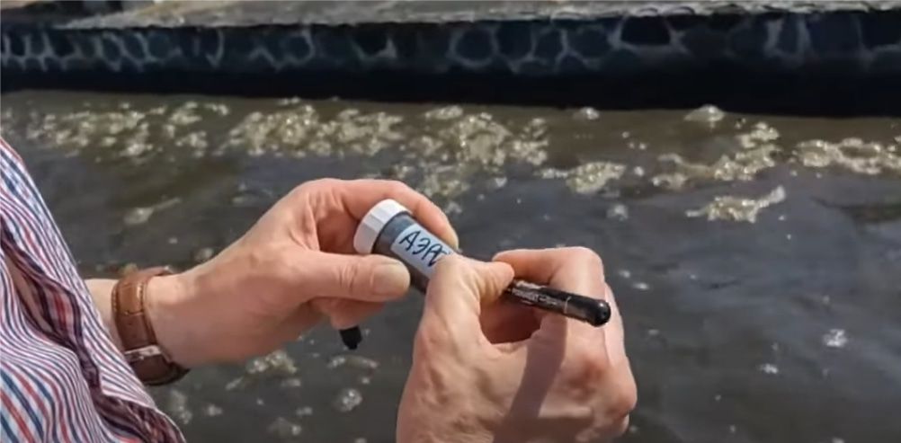 Образование и наука, ТГУ, Томские новости, ТГУ отходы биопереработка интересные новости Томска разложение бактерии Томские ученые предложили новый способ очистки водоемов от пальмового масла