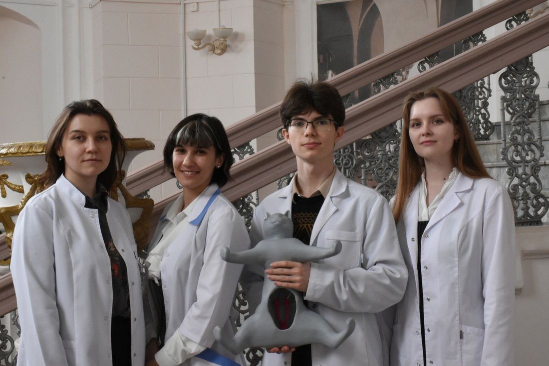 Город, Томские новости, тренажер операции интересные новости Томска восстановление ученые томская наука интересные новости Т В Томске создали прототип тренажера для операций на кошках