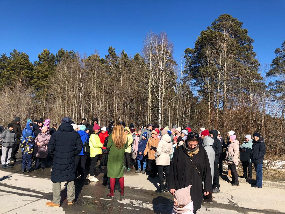 Город, Городское благоустройство, Томские новости, томск северск строительство новый микрорайон на калинина сосновый бор вырубка леса тдск петиции Северчане просят остановить стройку нового ЖК на месте соснового бора