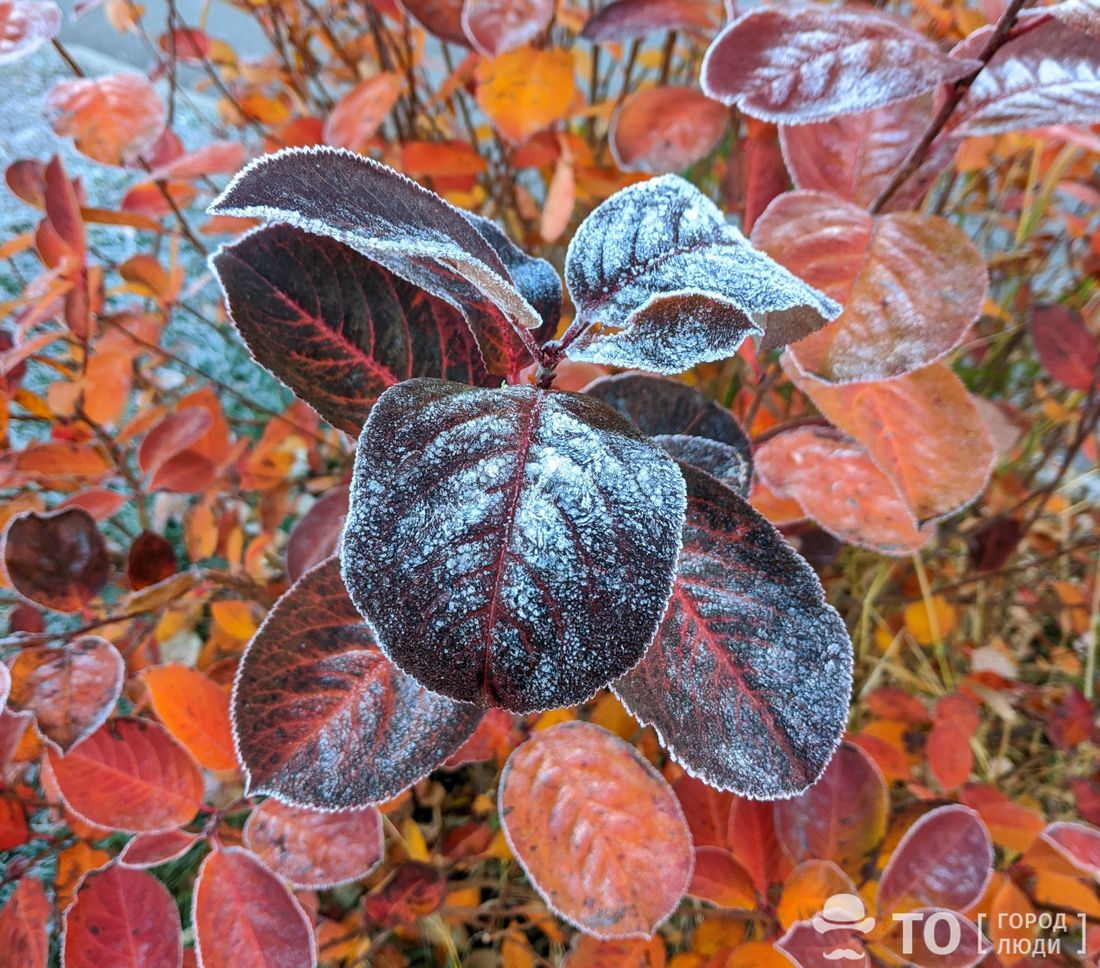 Город, Погода и природа, Томские новости, погода в Томске штормовое оперативное предупреждение интересные новости Томичей предупреждают о заморозках
