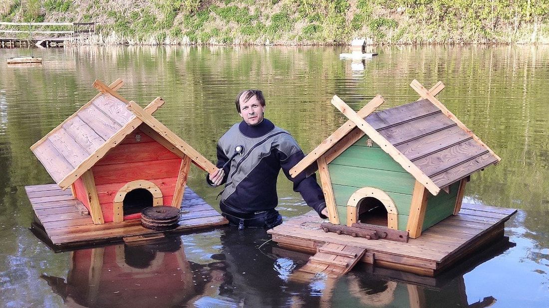 Благотворительность, Город, Городское благоустройство, Природа, Томские новости, томск университское озеро родники томска назарова благотворительность благоустройство город интерес На Университетском озере установили новые плавучие домики для уток