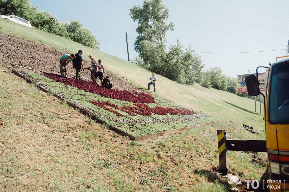Город, Зелень в городе, Томские новости, интересные новости Томска цветы растения украшения Цветочный герб Томска украсил въезд в город