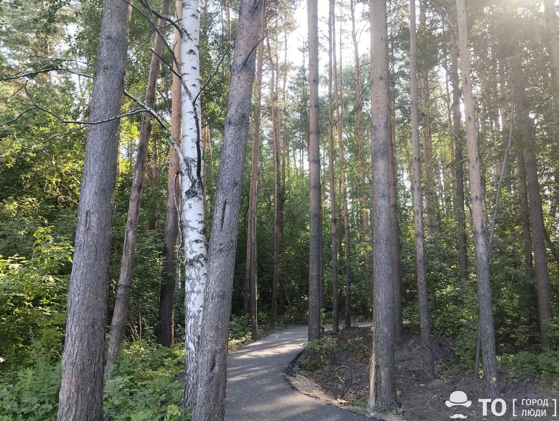 Город, Городское благоустройство, Томские новости, томск район окб махиня новости мэрия обустротройство скверы парки интересное что происходит В сквере у ОКБ в Томске до сих пор не демонтировали некачественный асфальт