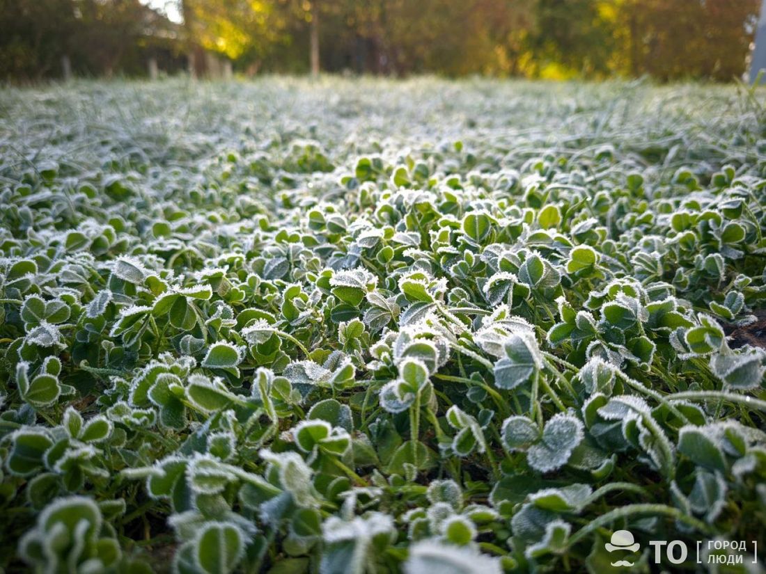 Город, Погода и природа, Стихия в Томске и области, Томские новости, погода в Томске прогноз погода на завтра интересные новости Томска В ближайшие дни томичей ждут морозы