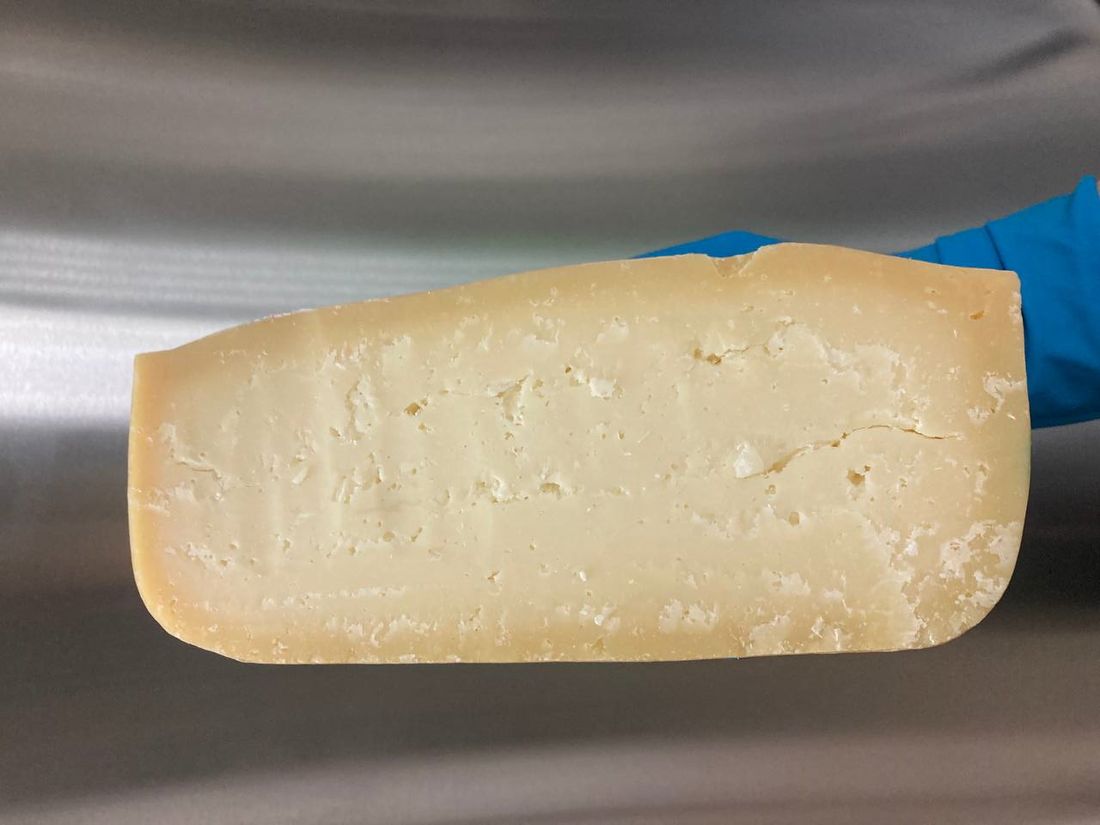 Город, Еда, Томские новости, интересные новости Томска еда производители томская пищевая промышленность Томские сыровары привезли две медали со всемирного конкурса