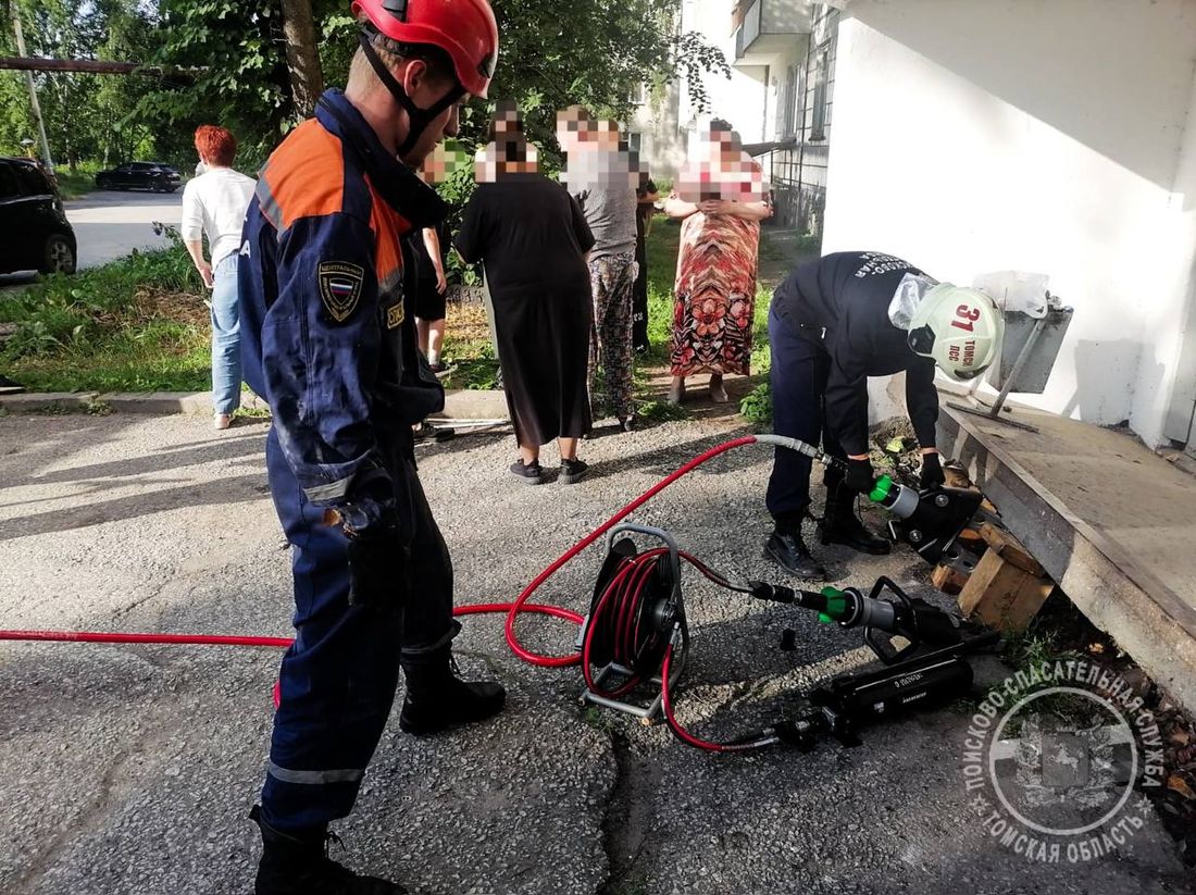 Город, Происшествия, Томские новости, застрял помощь котенок животные спасение интересные новости Томска жесть В Томске спасли котенка, застрявшего под бетонной плитой