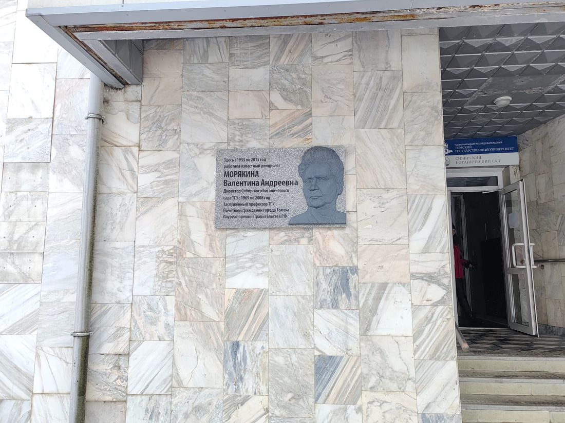 Город, Памятники, Томские новости, Морякина ТГУ интересные новости Томска известные люди Томска ЗЖЛ В Томске установили барельеф «хозяйки» Ботсада