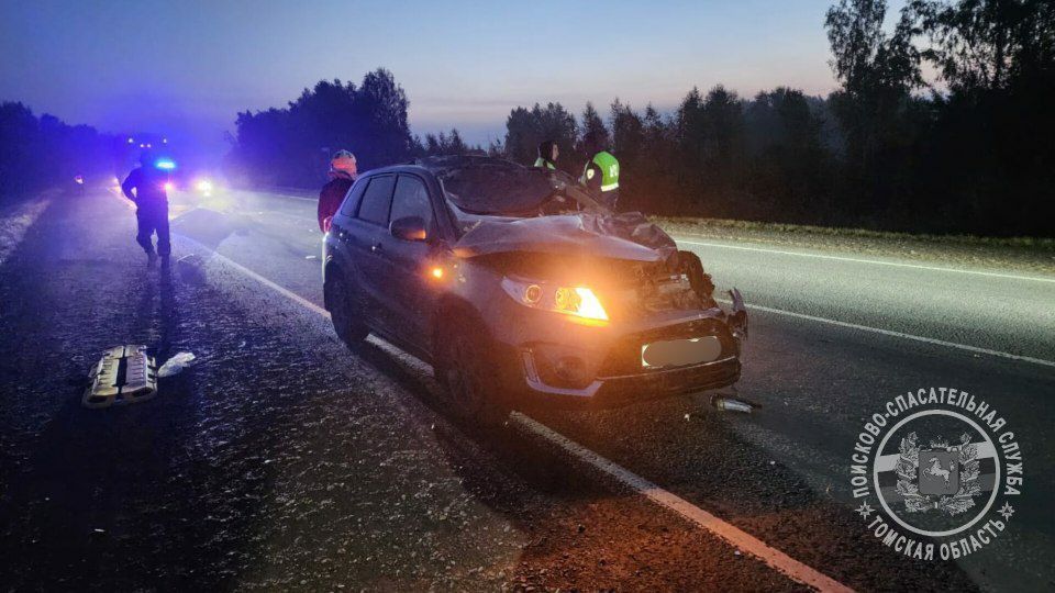 Город, Происшествия, Томские новости, авария ДТП сводка происшествий жесть Томска интересные новости Двое пострадали при столкновении с животным на трассе в Томской области