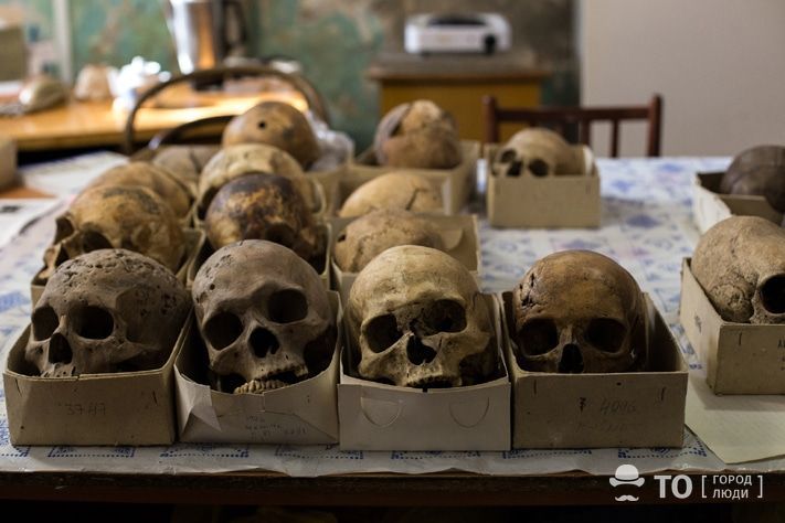Город, Томские новости, интересные новости Томска череп жесть останки трупы Человеку не могут отдать череп умершего родственника — эксперт