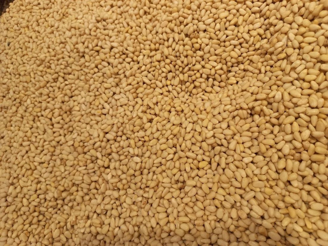 Город, Томские новости, таможня интересные новости Томска экспорт природные ресурсы Томская область более чем на треть нарастила экспорт кедровых орехов