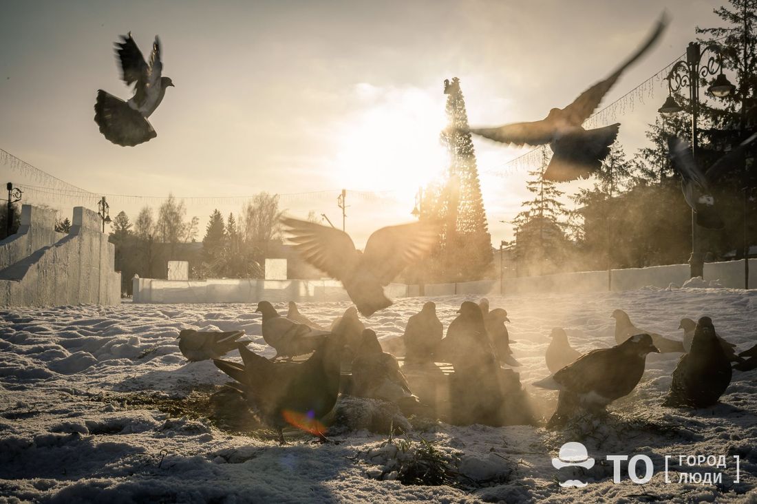 Город, Погода и природа, Стихия в Томске и области, Томские новости, интересные новости Томска погода стихия прогноз погода на завтра оперативное штормовое предупреждени Режим «черного неба» в Томске продлен