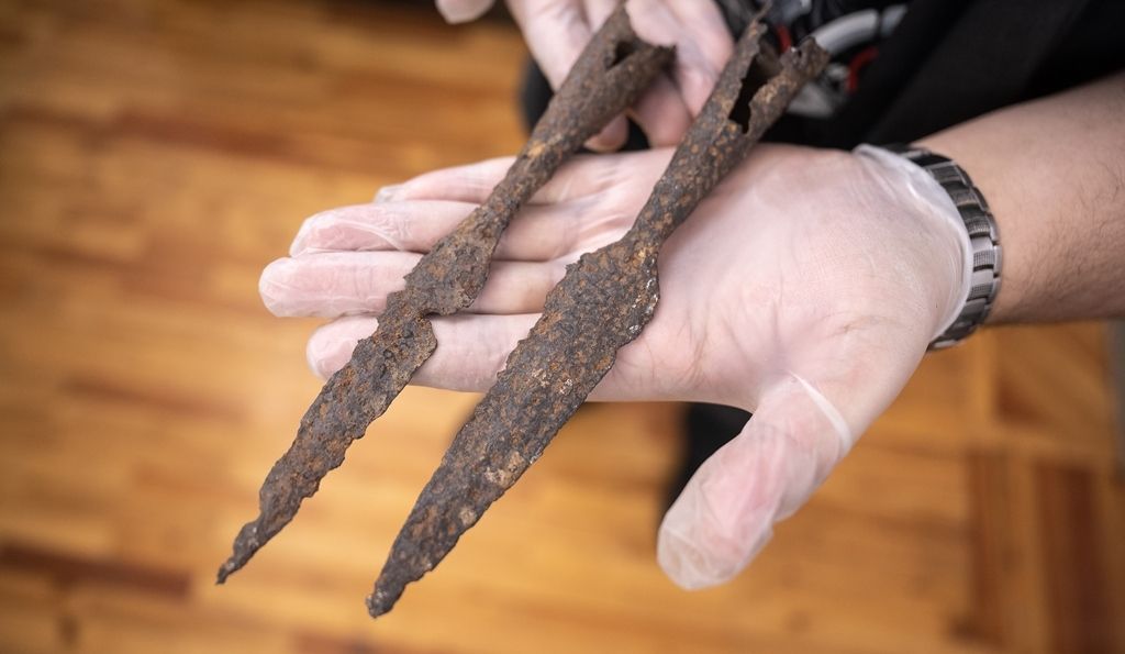 Город, Образование и наука, События, Томские новости, томск открытия наука тгу архиология университетская роща памятники интересное В Университетской роще может находиться cредневековое захоронение воинов — томские археологи