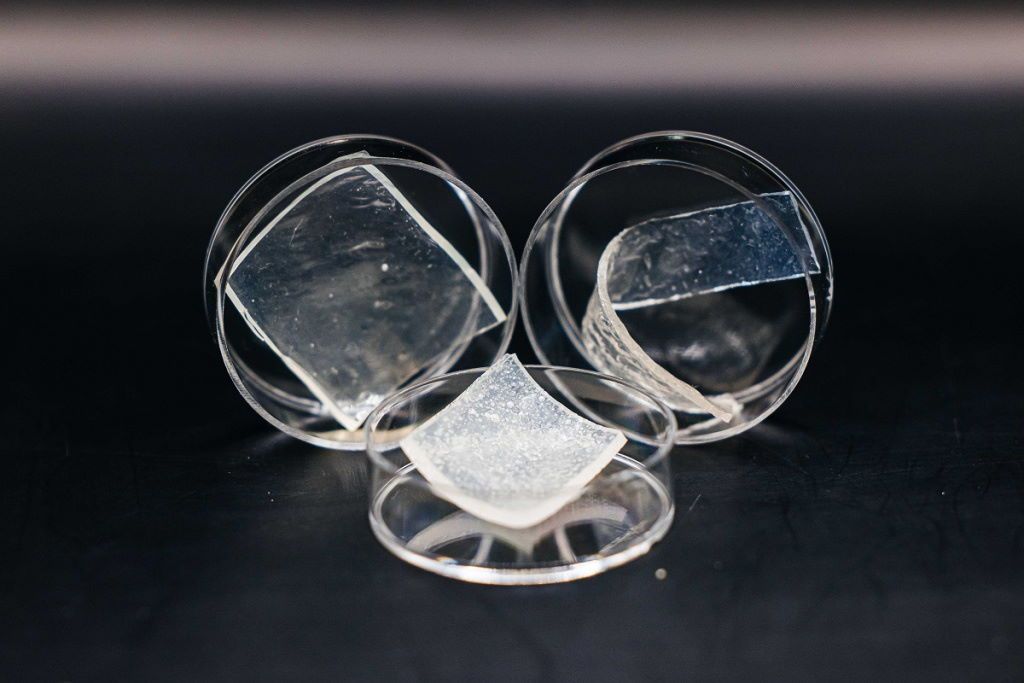 Город, Медицина и здоровье, Образование и наука, Томские новости, ТПУ, интересные новости Томска томская наука ученые открытия достижения медицина Томские ученые нашли способ настраивать свойства антибактериального геля