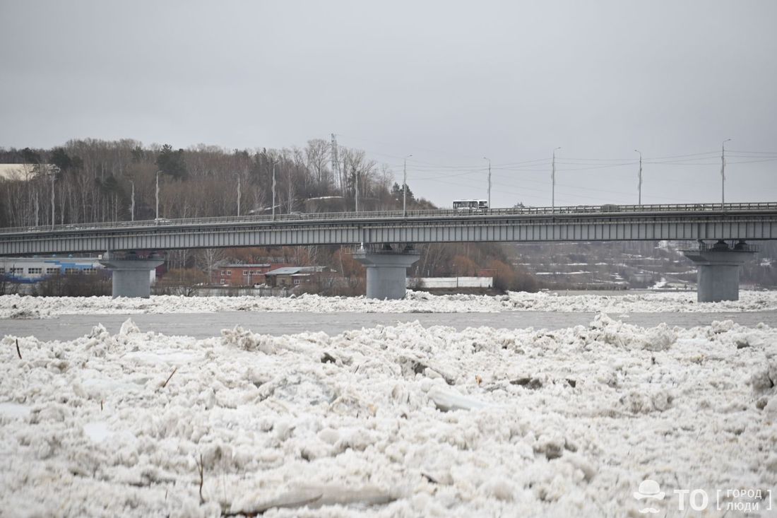 Город, Паводок, Томские новости, интересные новости Томска паводок затопило график ледохода Уровень воды в Томи в районе Речвоказала за сутки вырос более чем на три метра
