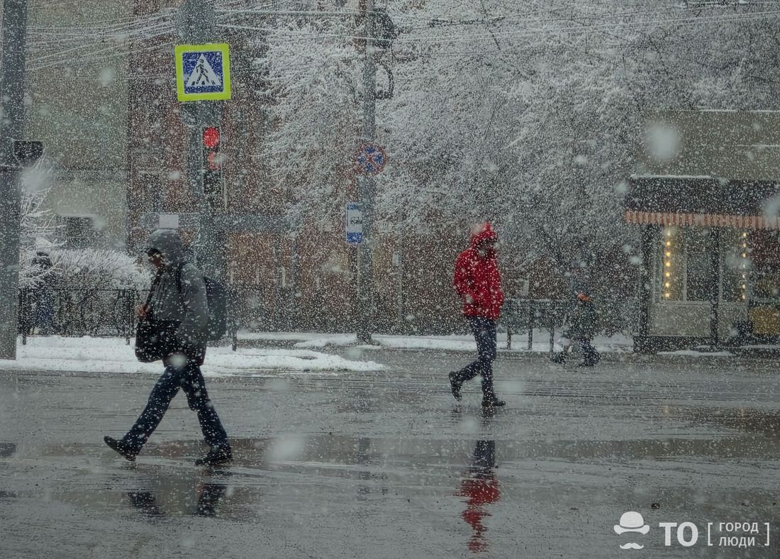 Город, Погода и природа, Томские новости, Томск накрыла апрельская метель сильный снегопад крупные хлопья снега погода в Томске прогноз погоды Как город снова стал белым: апрельская метель в Томске — фото
