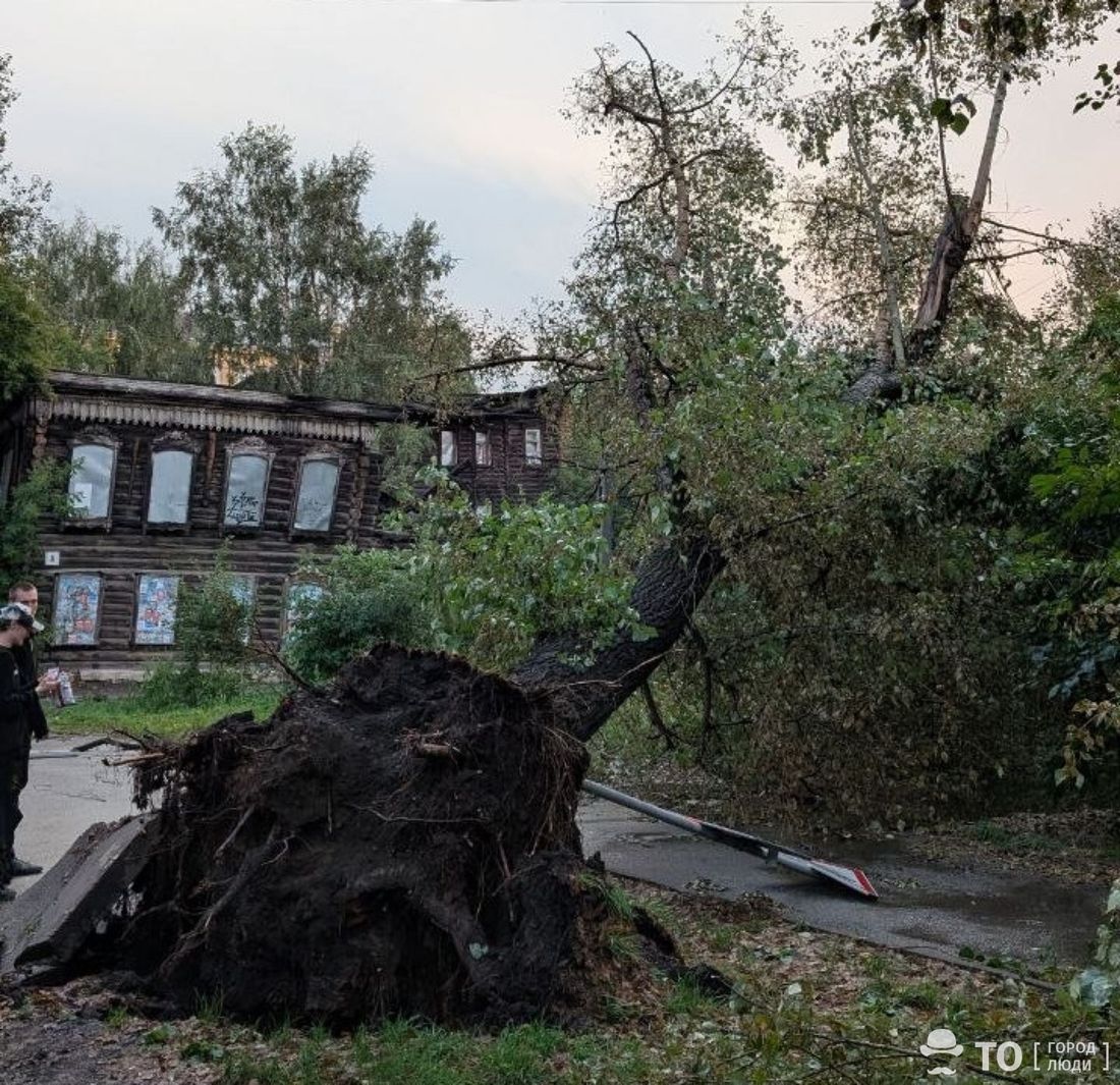 Город, Погода и природа, Стихия в Томске и области, Томские новости, омск ураганный ветер ливень сильный ветер в Томске непогода в Томске последствия стихии Томск 31 июл Ураганный ветер и ливень обрушились на Томск: деревья вырывало с корнями, повреждены дома и дороги